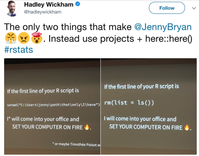 Hadley Wickham é diretor do RStudio e desenvolvedor de pacotes para processamento de dados.