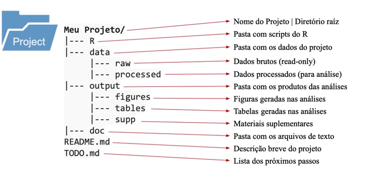 Um modelo geral de organização do diretório local